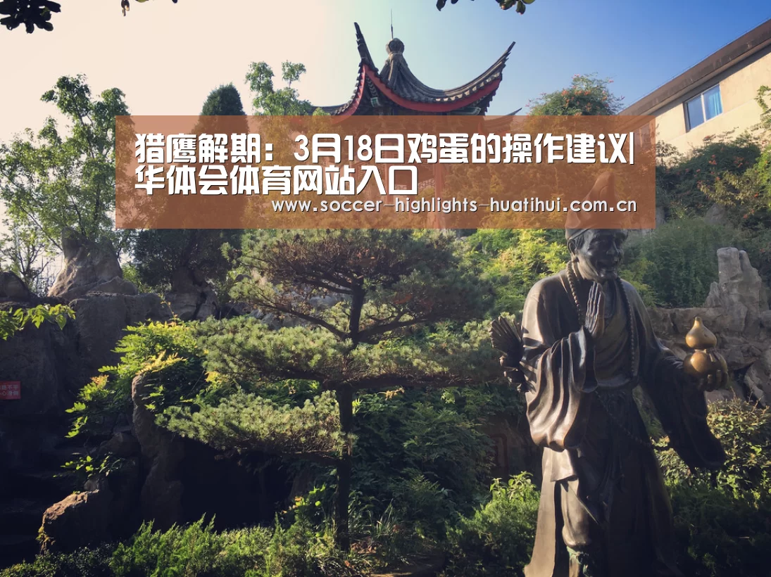 hth华体会官网